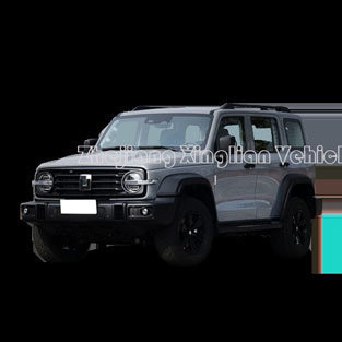 2023 5 lugares Tanque 300 Versão de Atualização Tanque 700 Super Potência Máxima Kw 167 Personalização