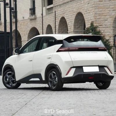 Forerunner Drive Mode Byd Mini EV 2024 Seagull Leap Edition 405km Range Carro elétrico