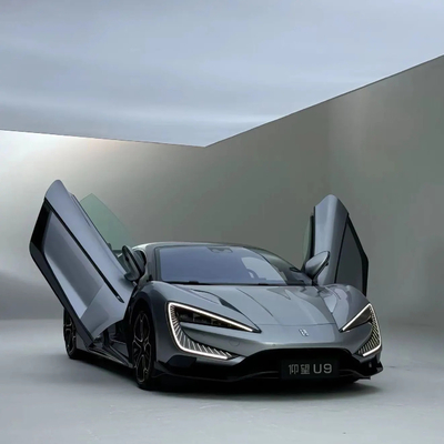 Sistema de travagem Dsic traseiro de disco dianteiro personalizado para Yang Wang U9 Super Car EV Electric