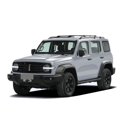Chinese Tank 300 SUV com 2.0t 227PS L4 8at Custom Model Car em cor externa preta
