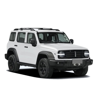 Chinese Tank 300 SUV com 2.0t 227PS L4 8at Custom Model Car em cor externa preta