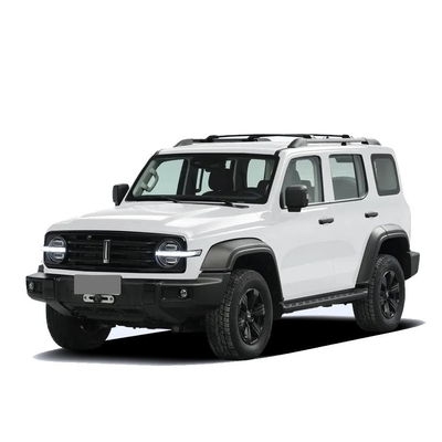 Chinese Tank 300 SUV com 2.0t 227PS L4 8at Custom Model Car em cor externa preta