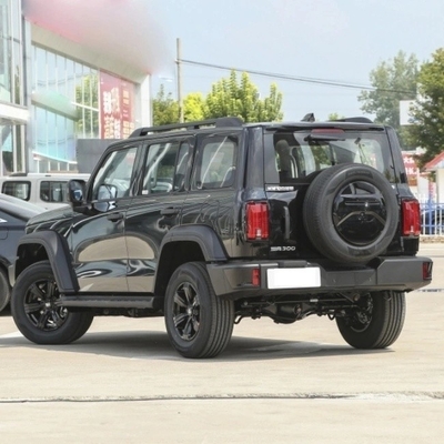 SUV chinês a gasolina 2023 Changcheng Tank 300 2.0t 02 com sistema de travagem mecânico