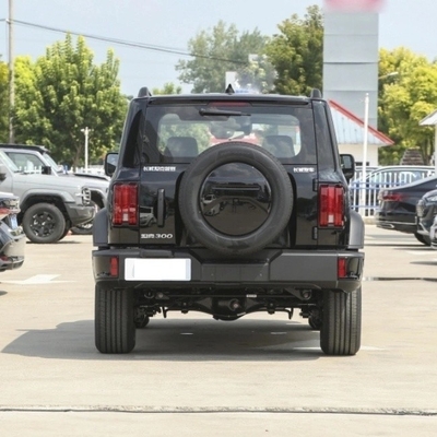 Fornecimento direto Great Wall Tank 300 SUV 2023 Modelo 2.0t Cuirass 02 Preto Exterior Automático