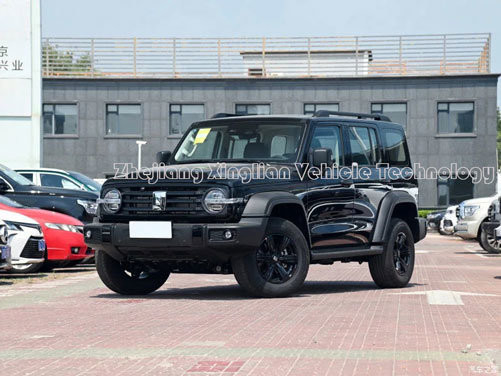 167KW Potência máxima Tanque de direção esquerdo 300 SUV off-road para as necessidades do seu cliente