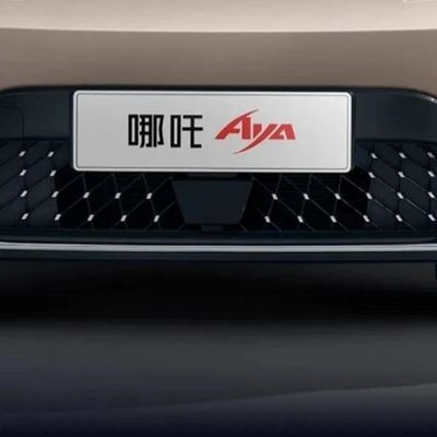 501-800W Neta Aya Mini Puro elétrico usado carro de família com tipo de carroceria fechada