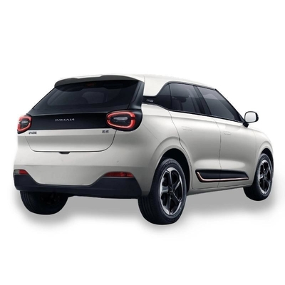 Dongfeng Nano 01 2024 Tendência de Produto Pequeno Carro Elétrico Nammi 01 Mini EV Personalização